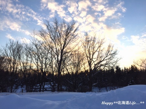a0337860_22192598.jpeg
