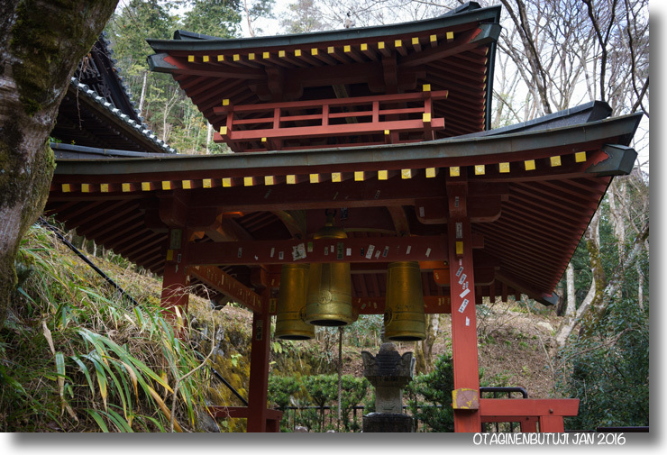 愛宕念仏寺_e0245466_20595155.jpg