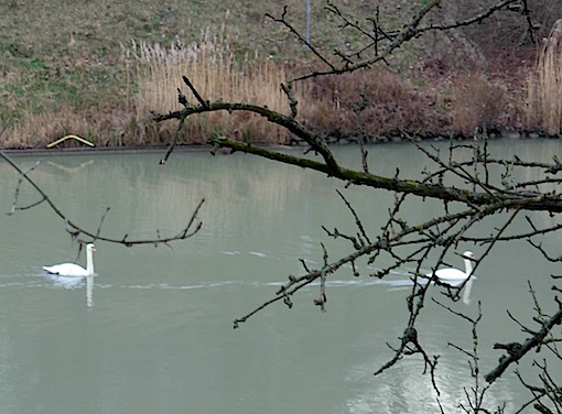 e0357367_1525145.jpg