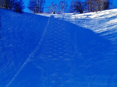 f0182173_10223477.jpg