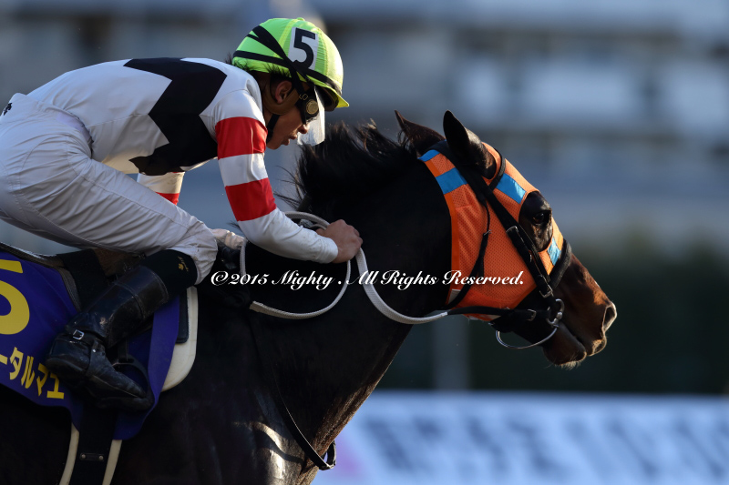 「Ｇ１・１０勝」　　_e0201983_18142817.jpg