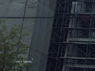 マンションの進捗状況と、トゥシェさんのビッグフェイスタオルのサイズについて。_a0341288_17250651.jpg