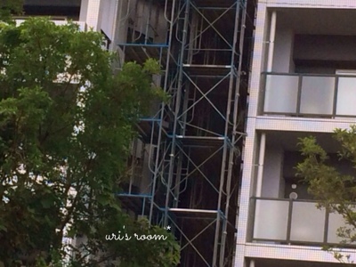 またマンション見て来た(´∀`)と、シーリングファン計画その後。と、昨日の晩ごはんは煮込みハンバーグ!_a0341288_17252143.jpg