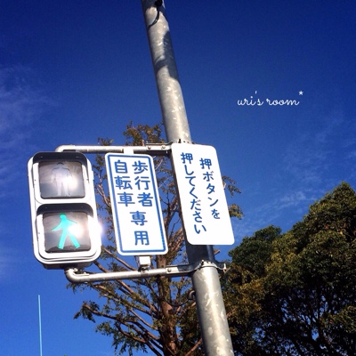 【web内覧会】洋室B(息子の部屋)_a0341288_17255112.jpg