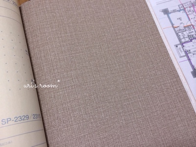 【web内覧会】トイレ_a0341288_17255228.jpg