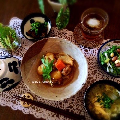 楽天* お買い物マラソン。さらにさらに買ったもの。と昨日の晩ごはんは鶏肉じゃが!_a0341288_17263377.jpg