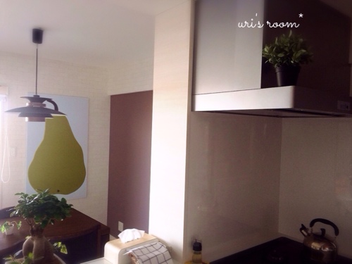 アラビア24h Avecプレートが揃いました!と、観葉植物ガジュ太郎が…。_a0341288_17273905.jpg
