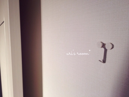 息子の部屋にミラーを設置。小学生男子も身だしなみが大切(´∀`)_a0341288_17275868.jpg