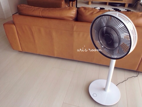 あの!憧れの扇風機、バルミューダのグリーンファンを買いました!_a0341288_17281125.jpg