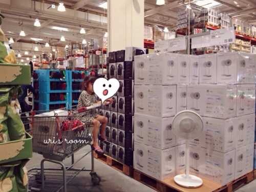 あの!憧れの扇風機、バルミューダのグリーンファンを買いました!_a0341288_17281151.jpg