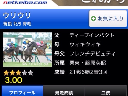 久しぶりにファブリックパネルを作りました(´∀`)…と、狙いたいタイムセール!それから何故か競馬の話。_a0341288_17282356.jpg