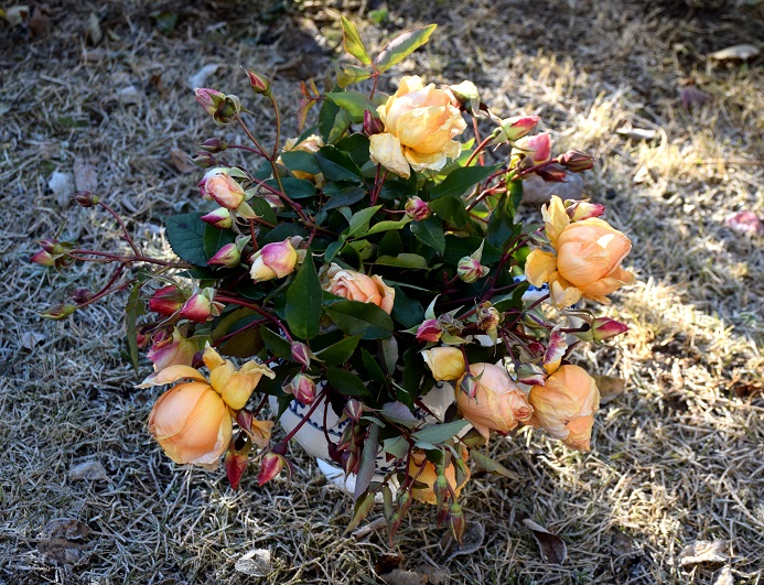 d0099791_9474691.jpg