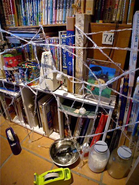 a0199297_963578.jpg