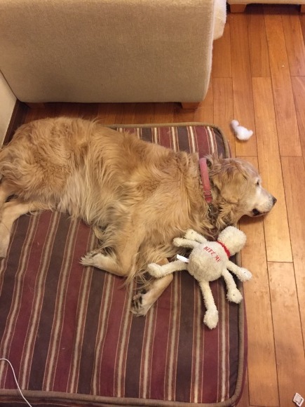 b0275998_11562716.jpeg