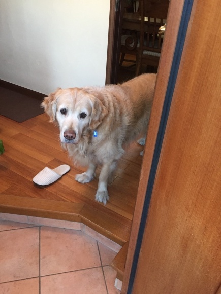 b0275998_11582283.jpeg