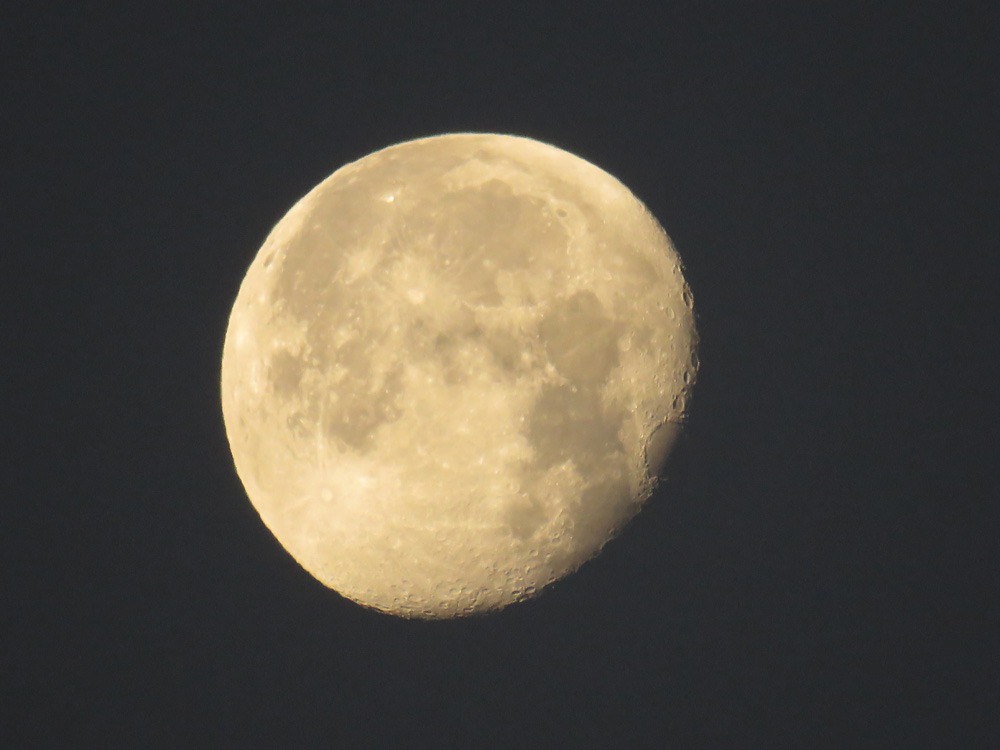 c0049299_2223304.jpg