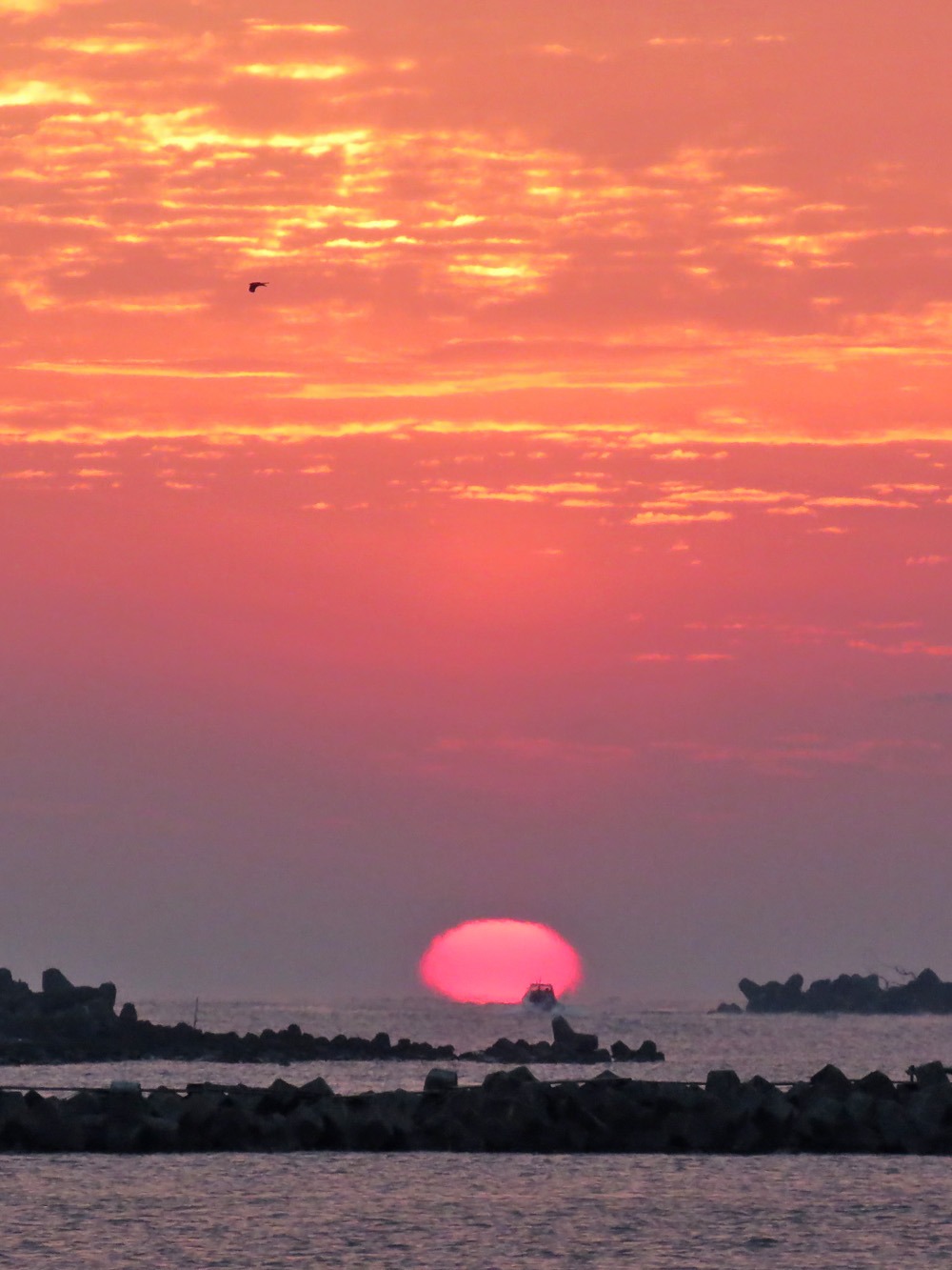 c0049299_2227424.jpg