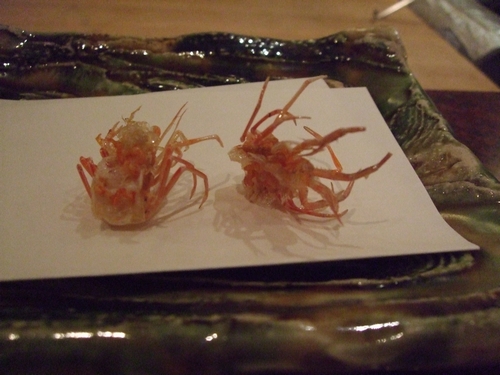 c0229199_14834.jpg