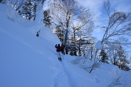 2016年1月23日札幌国際スキー場に近い白井岳支尾根の山を滑る_c0242406_16375632.jpg