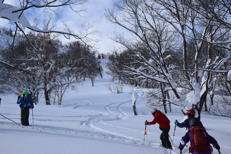 2016年1月23日札幌国際スキー場に近い白井岳支尾根の山を滑る_c0242406_163772.jpg