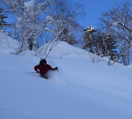 2016年1月23日札幌国際スキー場に近い白井岳支尾根の山を滑る_c0242406_16451051.jpg