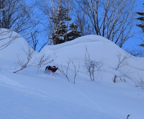 2016年1月23日札幌国際スキー場に近い白井岳支尾根の山を滑る_c0242406_16462817.jpg