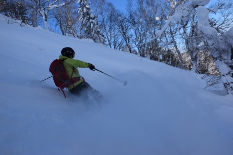 2016年1月23日札幌国際スキー場に近い白井岳支尾根の山を滑る_c0242406_16522363.jpg