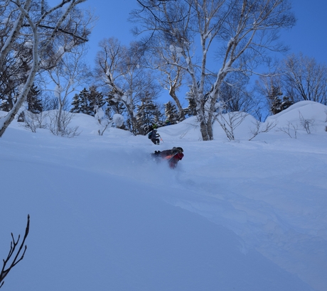 2016年1月23日札幌国際スキー場に近い白井岳支尾根の山を滑る_c0242406_1653786.jpg