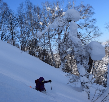 2016年1月23日札幌国際スキー場に近い白井岳支尾根の山を滑る_c0242406_16595715.jpg