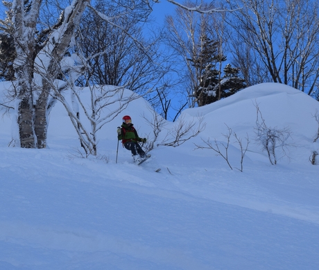 2016年1月23日札幌国際スキー場に近い白井岳支尾根の山を滑る_c0242406_17103140.jpg