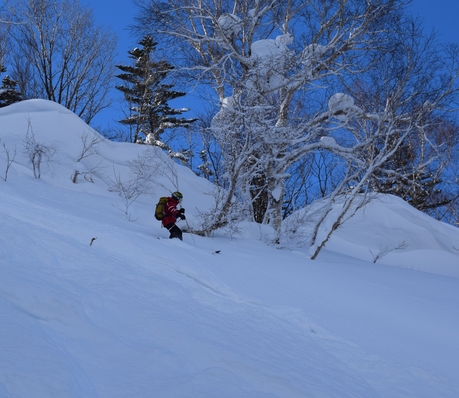 2016年1月23日札幌国際スキー場に近い白井岳支尾根の山を滑る_c0242406_1792144.jpg