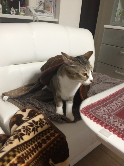 c0109109_19093777.jpeg