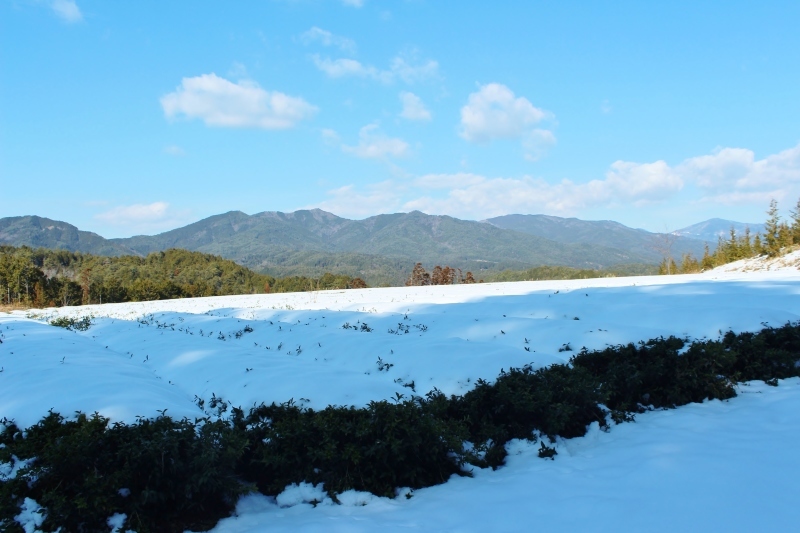 東白川村_b0220318_05223704.jpg