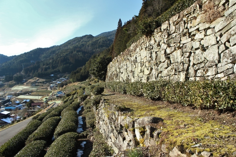 東白川村_b0220318_05233183.jpg