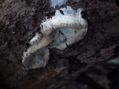 e0352220_17381004.jpg