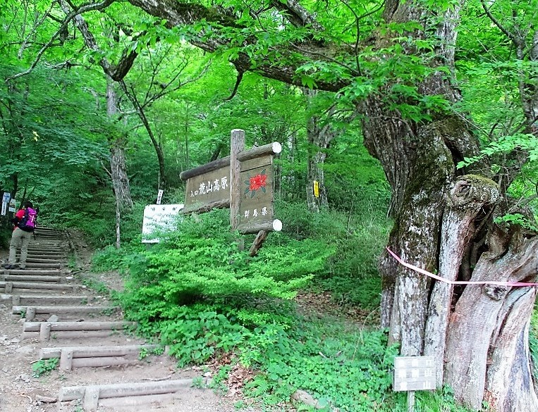 前橋市 赤城山 ツツジ満開の荒山から鍋割山 Arayama Nabewariyama In Mount Akagi やっぱり自然が好き