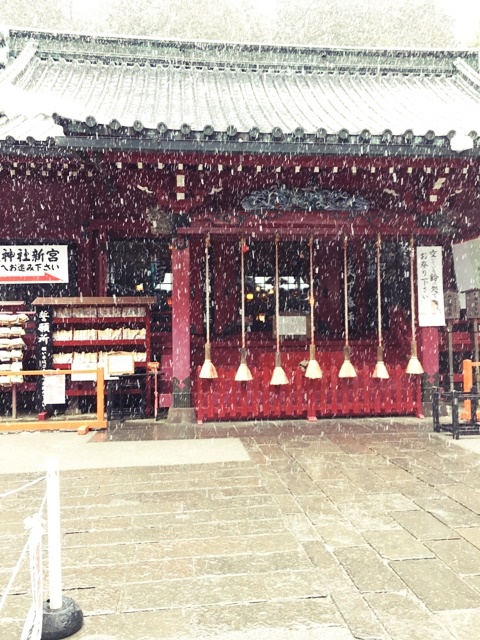 b0177323_15562711.jpg