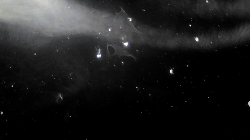 c0331825_13393830.jpg