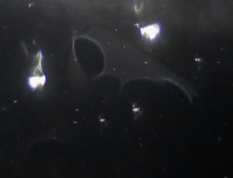 c0331825_13425629.jpg