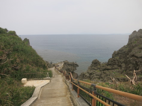 1月28日いつもの沖縄に戻りました!!_c0070933_19533232.jpg