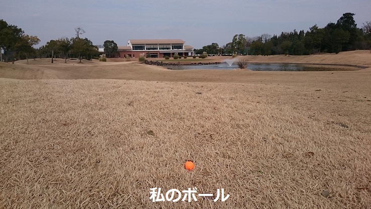 c0174644_1391573.jpg