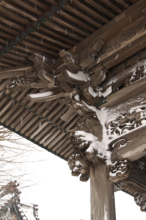 高龍寺、函館　３_c0180845_23322420.jpg