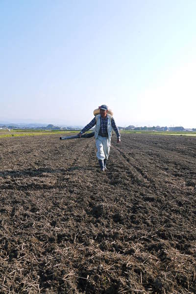 砂田米 土にこだわる“匠”の『砂田のこだわりれんげ米』!!今年もれんげが元気に芽吹いていました!_a0254656_17361543.jpg