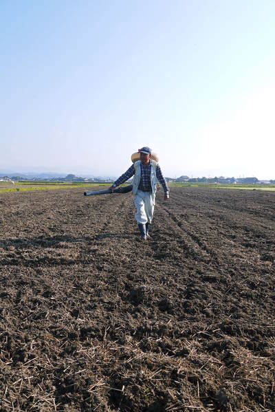 砂田米　土にこだわる“匠”の『砂田のこだわりれんげ米』!!今年もれんげが元気に芽吹いていました！_a0254656_17361543.jpg