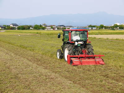 砂田米 土にこだわる“匠”の『砂田のこだわりれんげ米』!!今年もれんげが元気に芽吹いていました!_a0254656_1820425.jpg