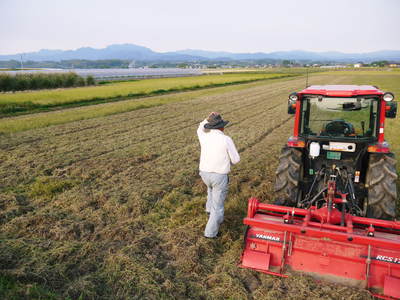 砂田米　土にこだわる“匠”の『砂田のこだわりれんげ米』!!今年もれんげが元気に芽吹いていました！_a0254656_18493896.jpg