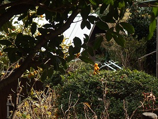 e0004756_20285691.jpg