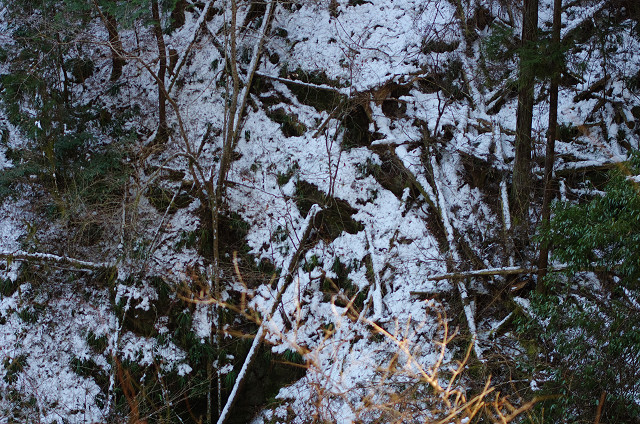 c0080357_1632116.jpg