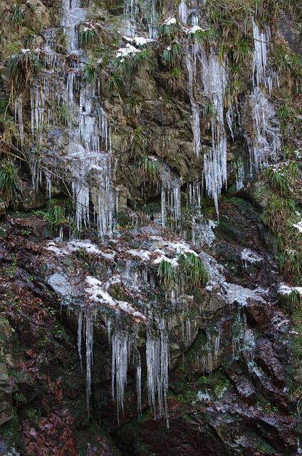 c0080357_16333777.jpg