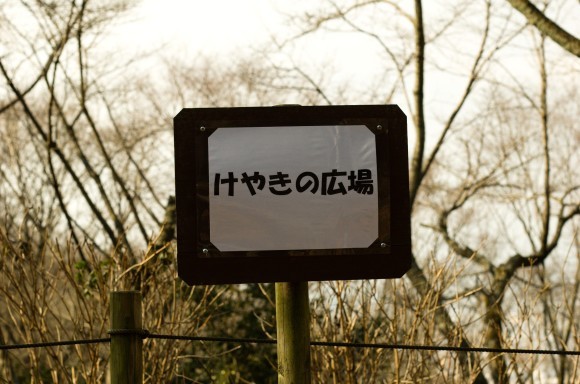 c0260772_12303968.jpg